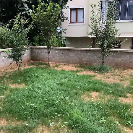 Misho ترابزون